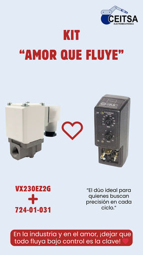 Válvula 2/2 para agua puerto Rc 3/8"  220VCA VX230EZ2G ❤︎  Timer 724-01-031