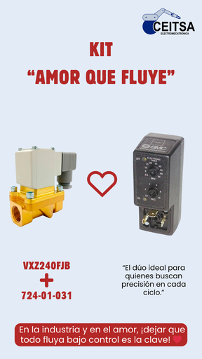 Válvula 2/2 para Aire puerto NPT 1/2"  110VCA VXZ240FJB ❤︎  Timer 724-01-031 