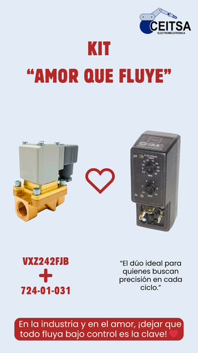 Válvula 2/2 para Agua puerto NPT 1/2"  VXZ242FJB 110VCA ❤︎  Timer 724-01-031